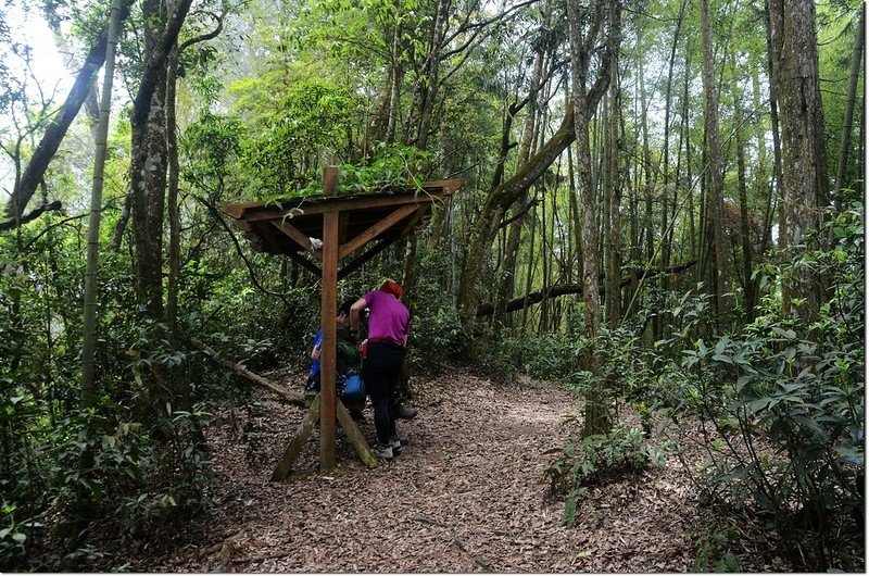 鳳凰山稜線休息涼亭 1