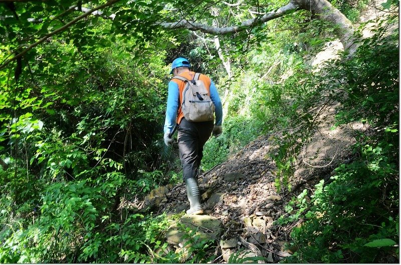 觀音山登山步道