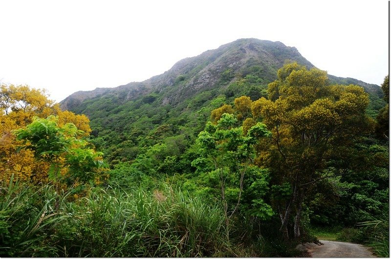 虎頭山東北稜 2