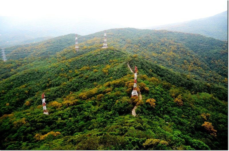 虎頭山山頂俯瞰登山口