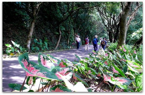 新北新莊 青年公園