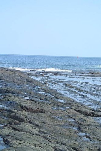 20140928龍洞四季灣14.JPG