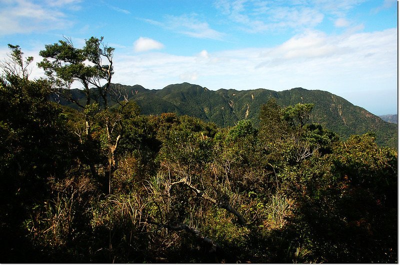 牡丹路山榕樹群聚區展望點西眺里龍山稜線