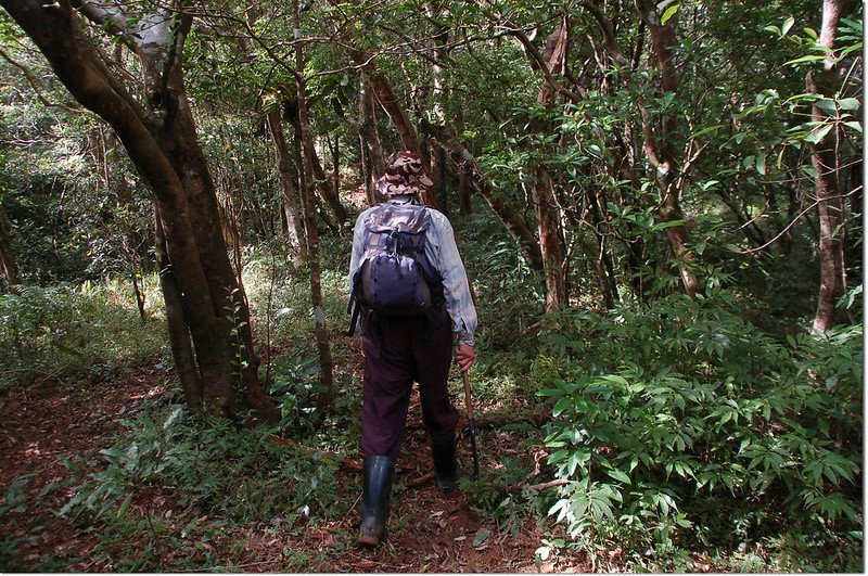 牡丹路山東南峰山徑 6