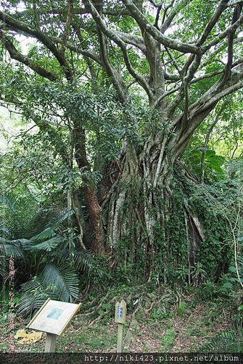 布洛灣山月村