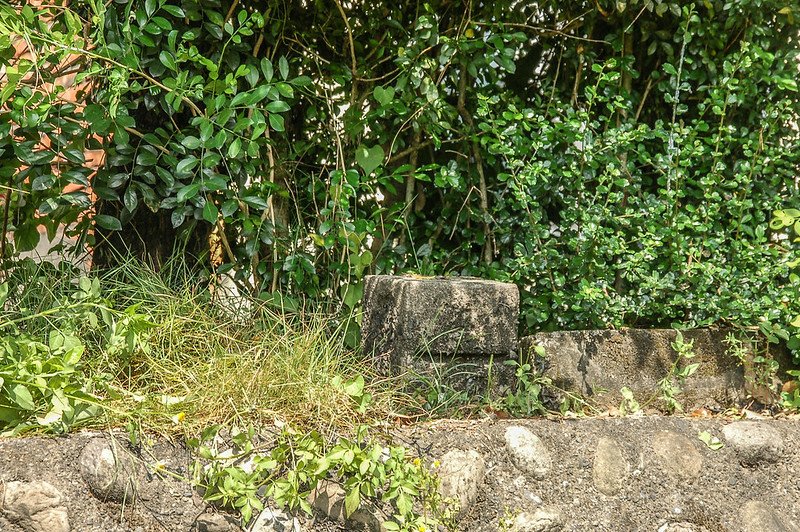 坪頂背總督府土木局水準點(# 荖濃溪右岸4-12 Elev. 158 m) (1)