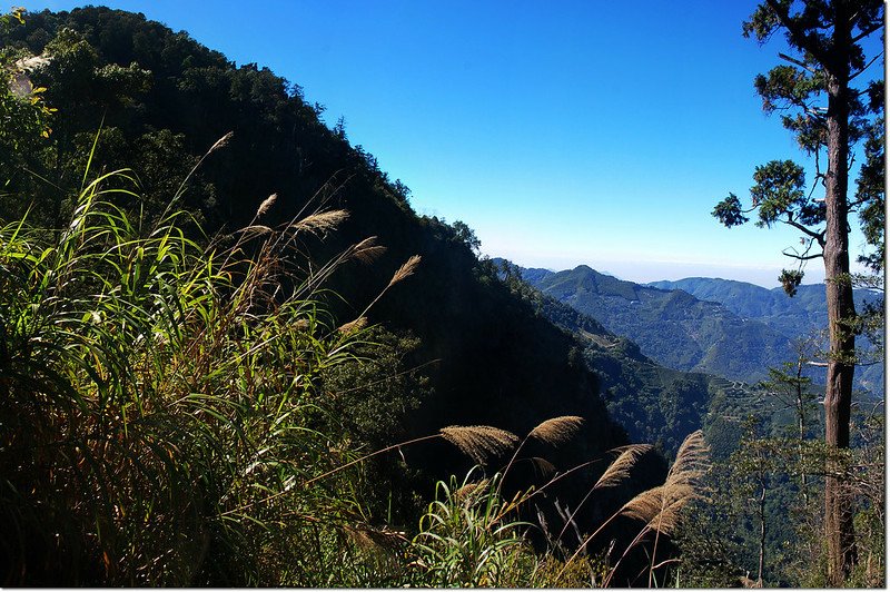 獅子頭山稜線西望獅子頭山（左）、嘉南雲峰（中）