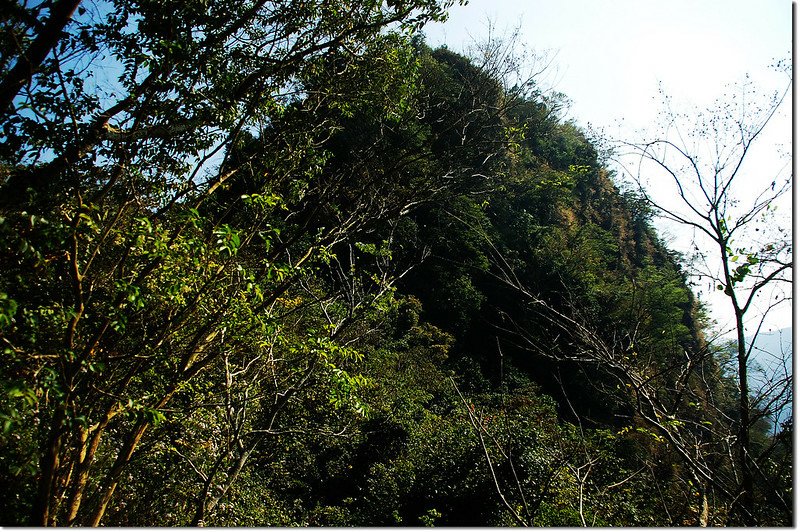 登西大社山途中望西大社山 2