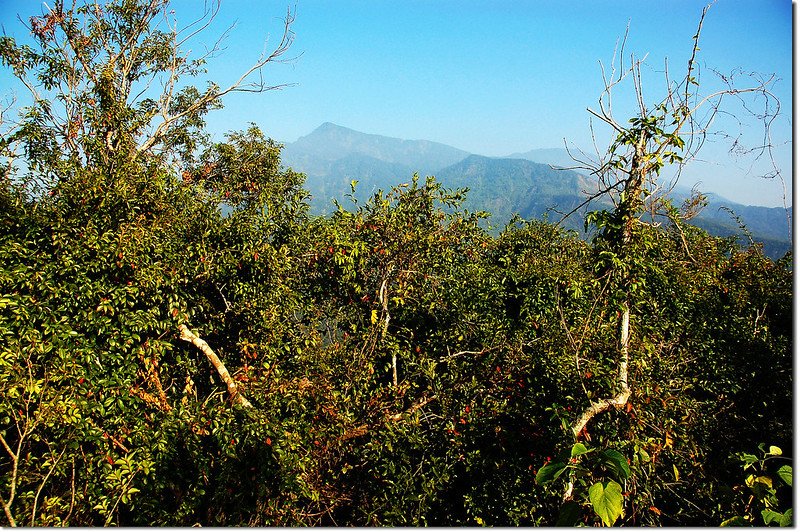 西大社山山頂東南望群山 2