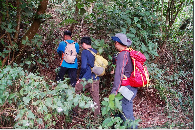 攀登庵婆加山北峰 1