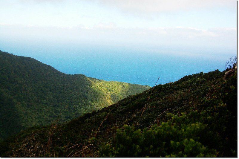 出風山北望鹿寮溪口