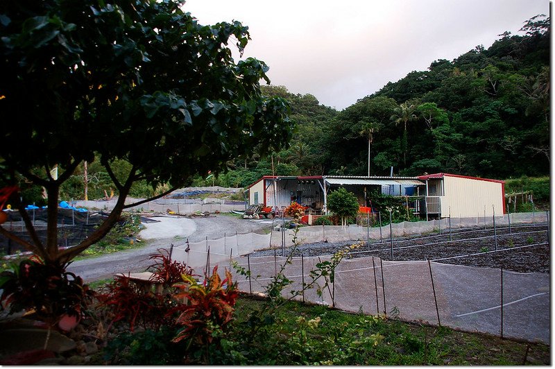 出風山登山口工寮（熊記雨來菇） 2