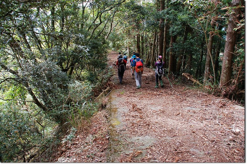 出雲山林道 (2)