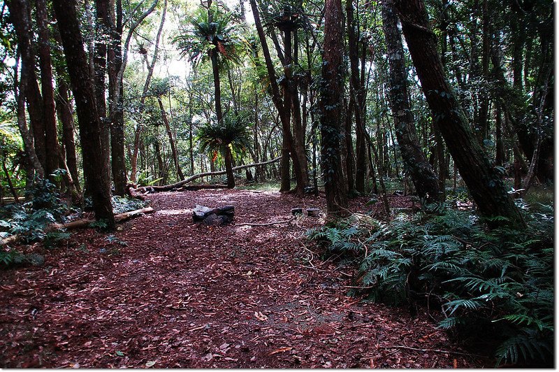 疑似駐在所遺址 1