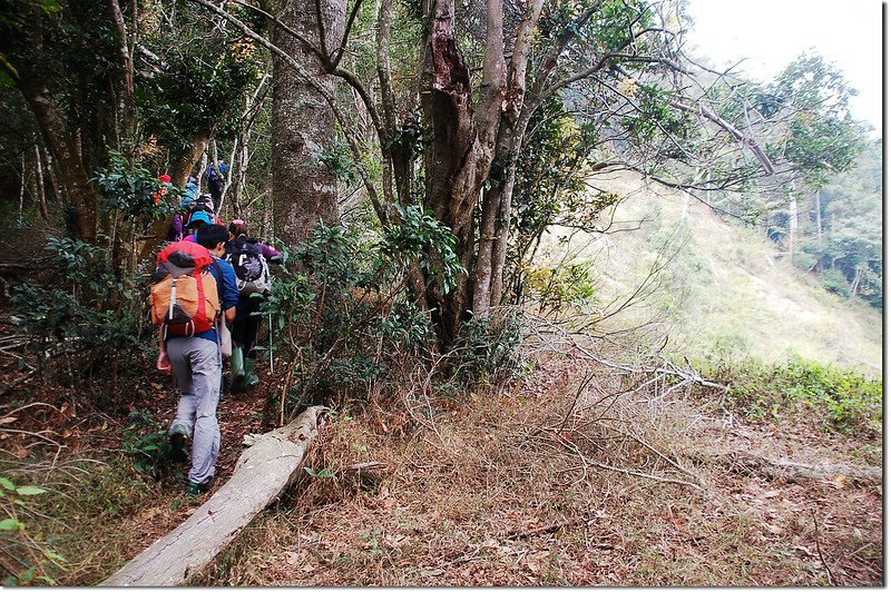 出雲山林道崩塌處腰繞路 1