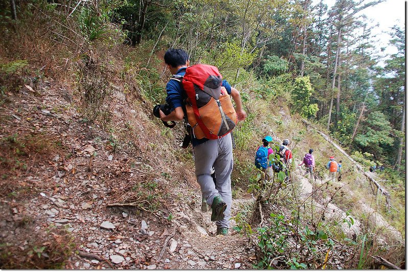 出雲山林道崩塌處腰繞路 2