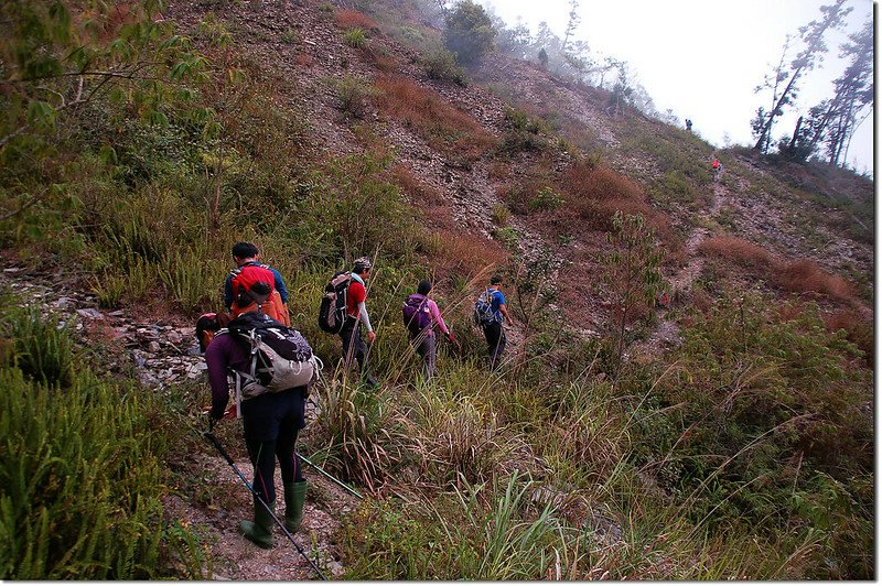 出雲山林道崩塌處腰繞路 4