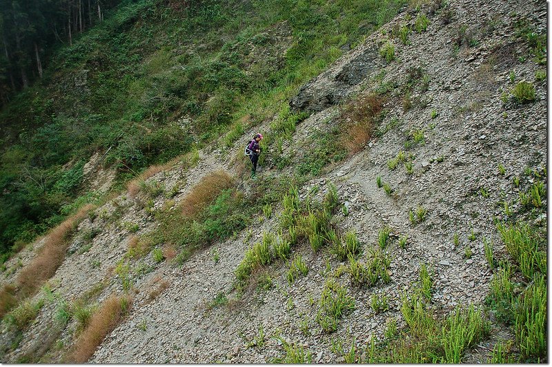 出雲山林道崩塌處腰繞路 5