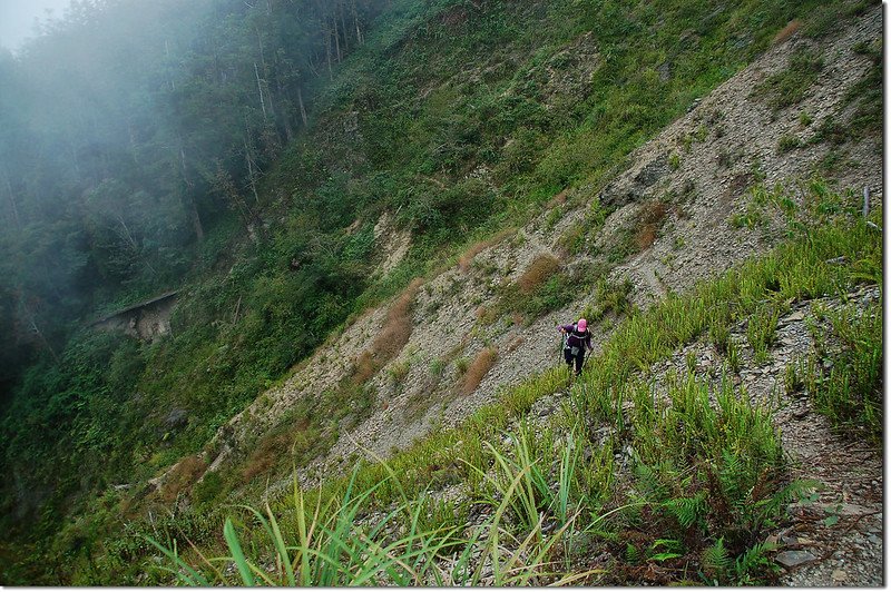 出雲山林道崩塌處腰繞路 6