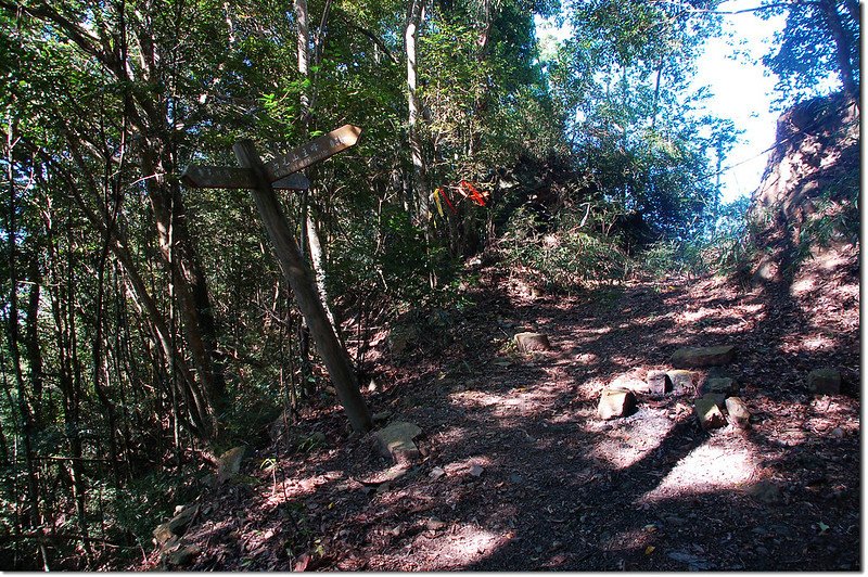 白毛山稜線鞍部岔路