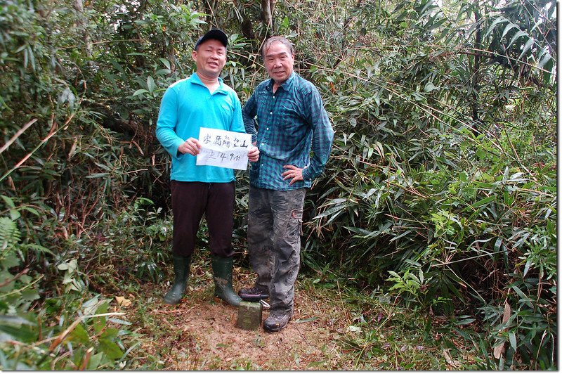 東馬龍望山山字森林三角點