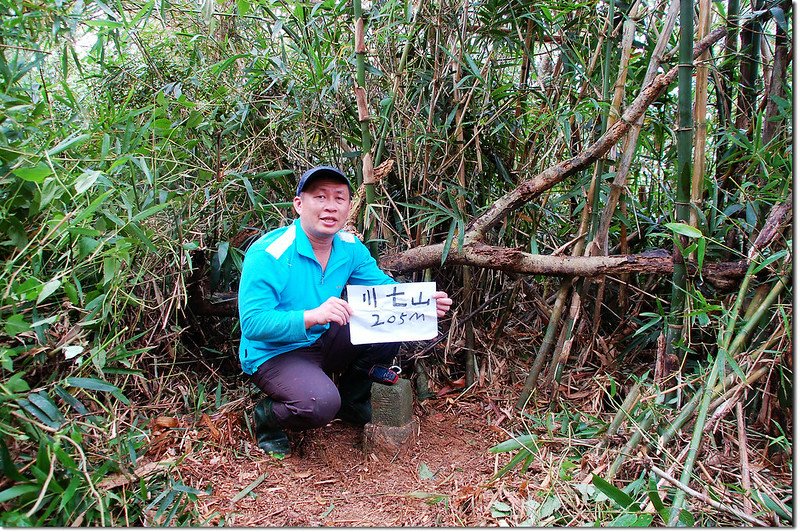 川七山山字森林三角點 1