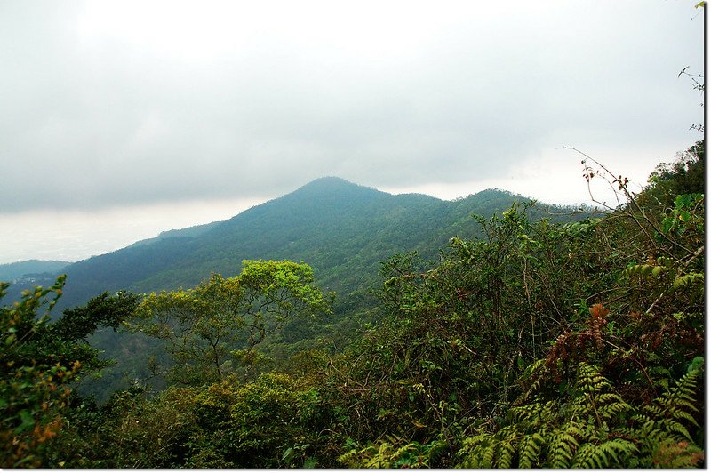 桑留守山西望虻彈山主峰