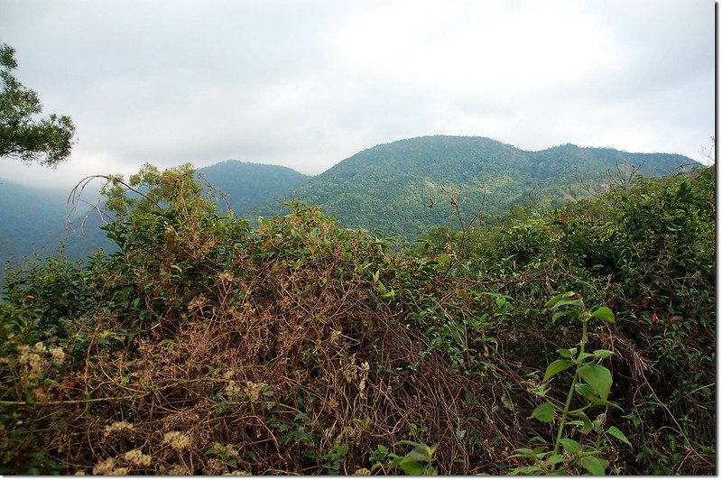 盆貿里山林道東南望盆貿里山（中）