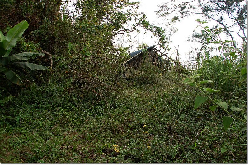 盆貿里山西峰工寮登山口 1