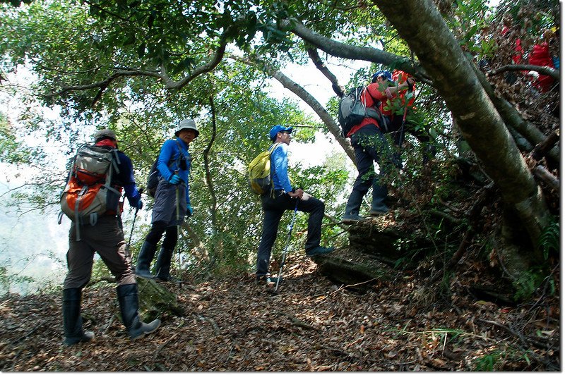 登朗吾呂山途中 5