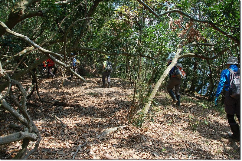 登朗吾呂山途中 6