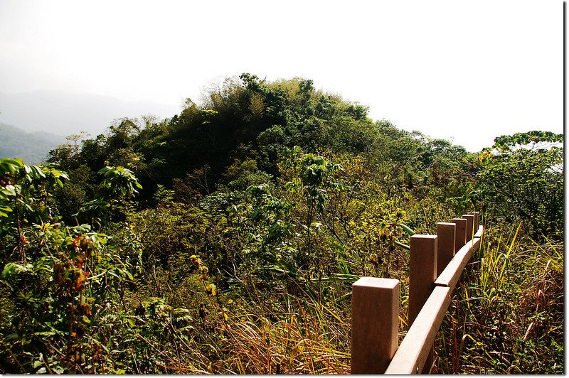 竹仔舍步道望麻竹湖山