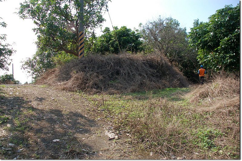 灣丘山登山路徑