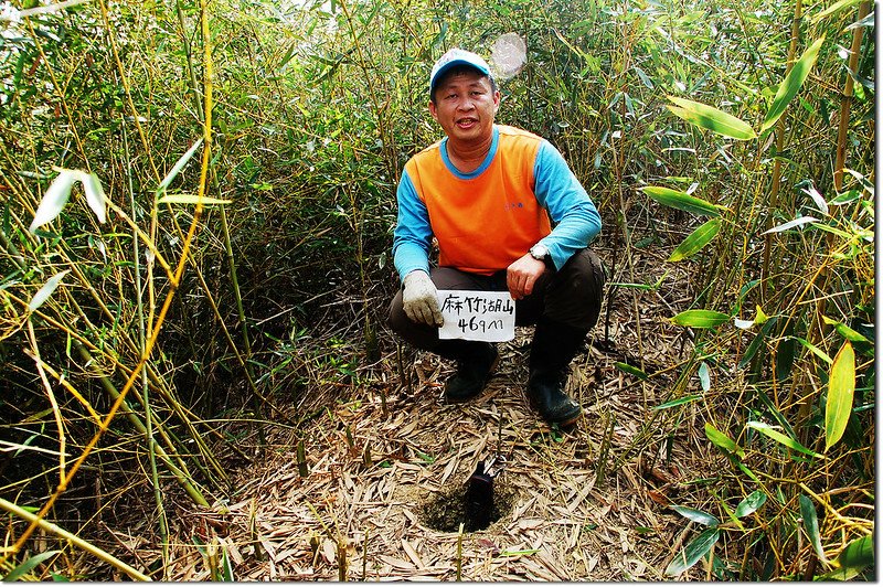 麻竹湖山基點點位