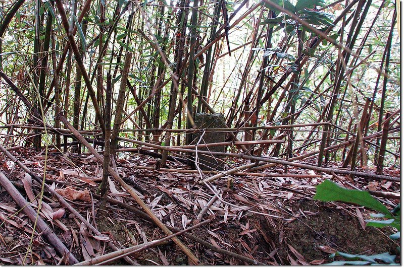 東麻竹湖山水泥柱點位