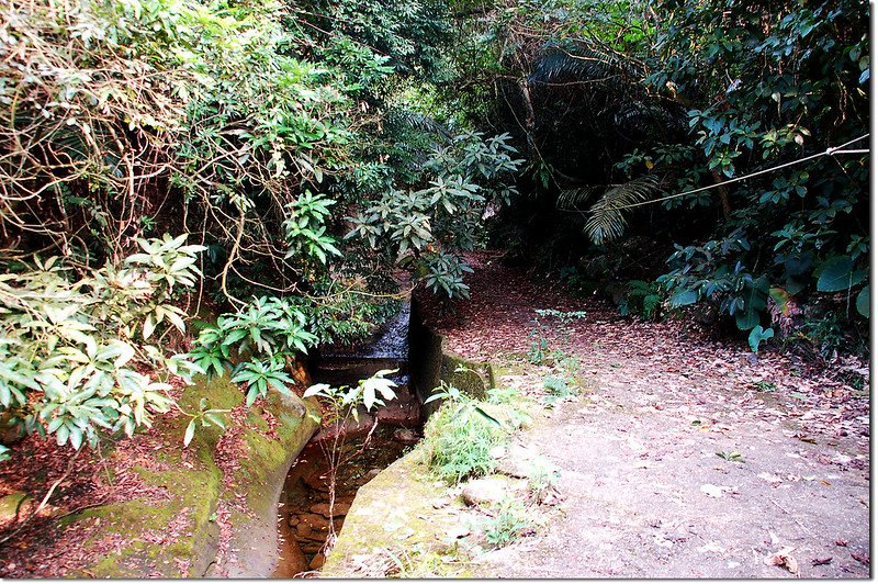 蝙蝠洞瀑布步道