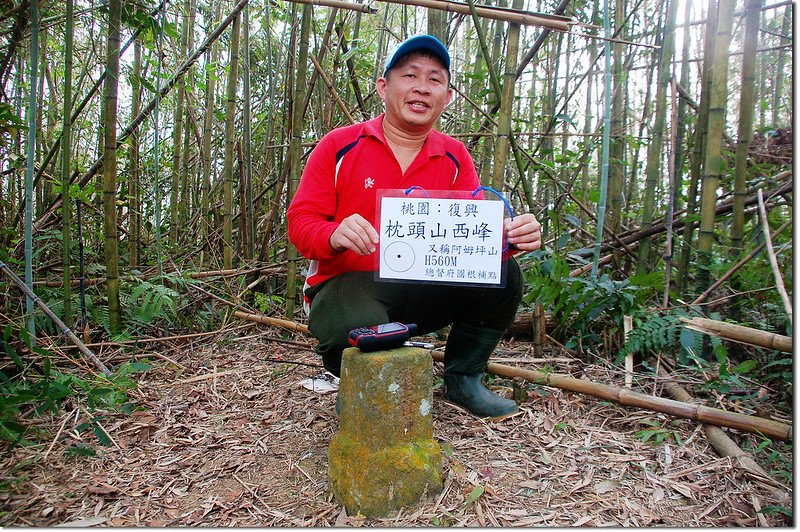 枕頭山西峰山頂 3