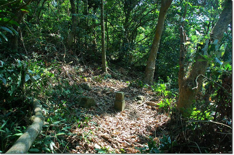 新寮山山字森林三角點