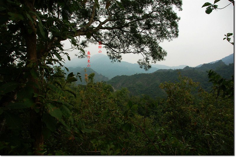 南龜丹山東望花瓣山、龜丹東山 1