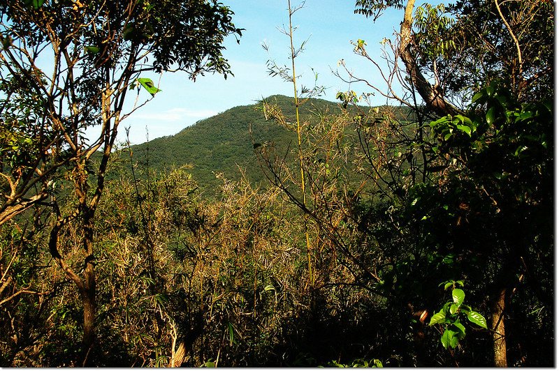 田良井西峰西北眺三地山 1