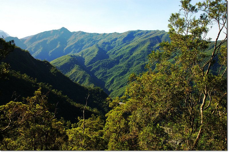 田良井西峰南眺鱈葉根山