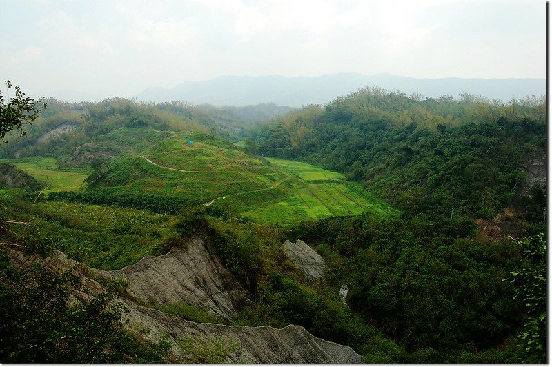 籠子內山108山頭東眺烏山稜線