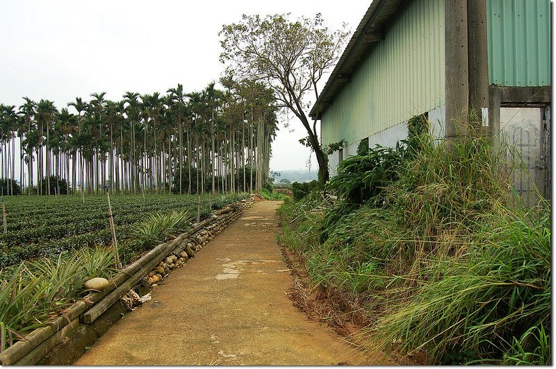 大庄（皮子寮）行進路線 1