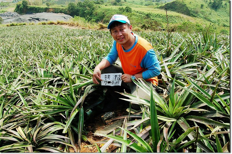 拷潭南臺灣省政府地政處規劃總隊導線點