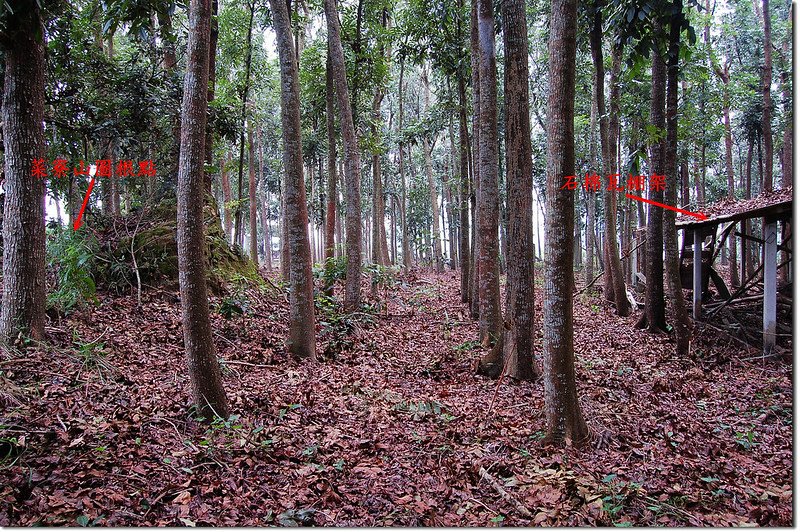 菜寮山土地調查局圖根點相對位置