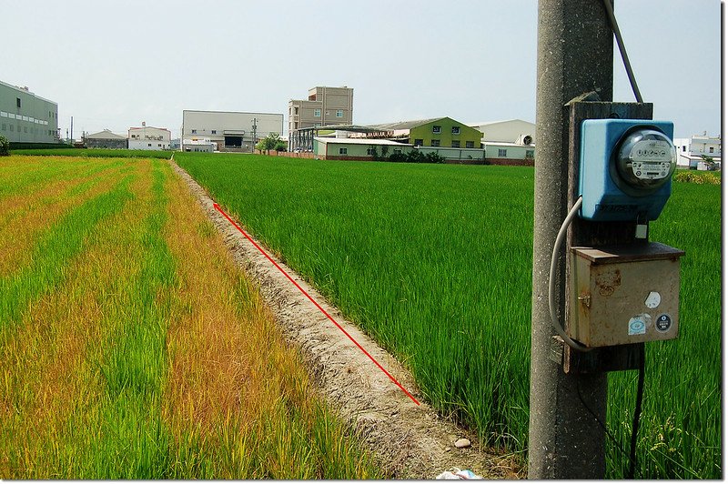 溝內土地調查局圖根點行進路線 1