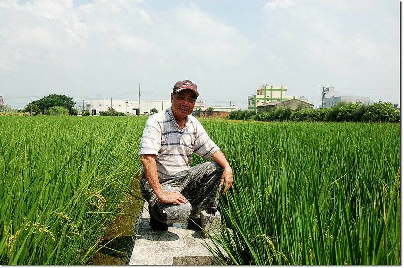 溝內土地調查局圖根點