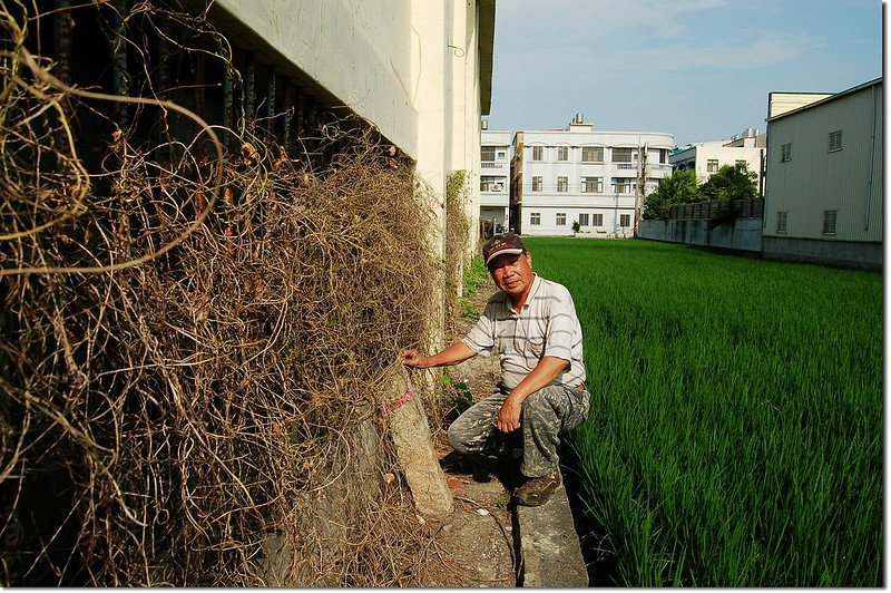 半路厝土地調查局圖根點