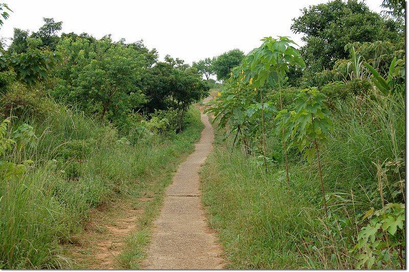 新路坑山(龜崙山)登山步道