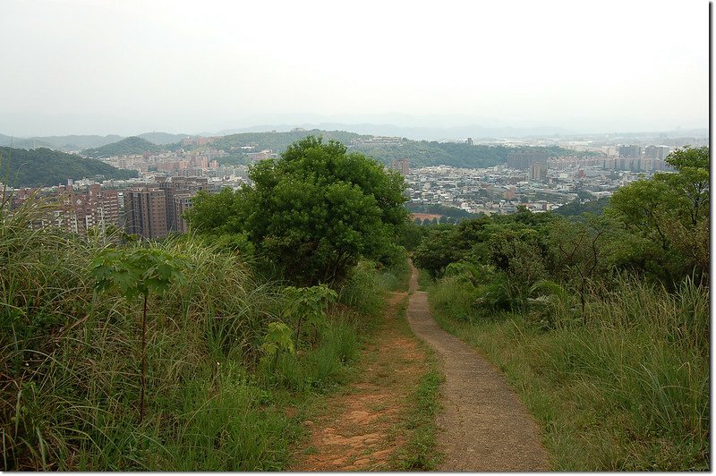 新路坑山(龜崙山)俯瞰桃園市區